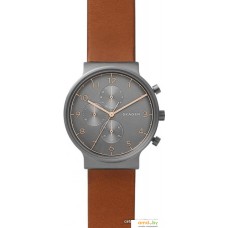 Наручные часы Skagen SKW6418