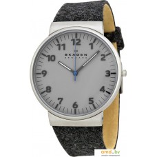 Наручные часы Skagen SKW6097