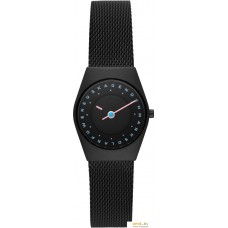 Наручные часы Skagen Grenen Lille SKW3088