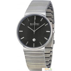 Наручные часы Skagen SKW6109