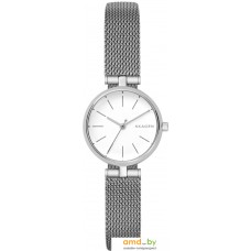 Наручные часы Skagen SKW2642