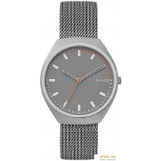 Наручные часы Skagen SKW6387