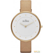 Наручные часы Skagen SKW2137