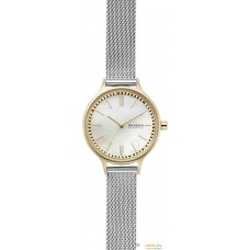 Наручные часы Skagen SKW2866