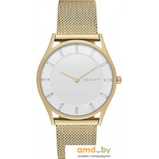 Наручные часы Skagen SKW2377