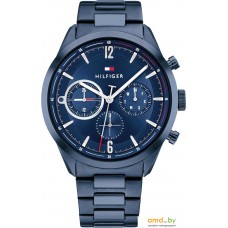 Наручные часы Tommy Hilfiger Matthew 1791945