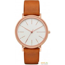 Наручные часы Skagen SKW2488