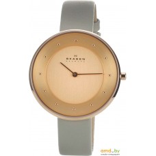 Наручные часы Skagen SKW2139