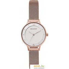 Наручные часы Skagen SKW2650