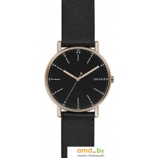 Наручные часы Skagen SKW6401