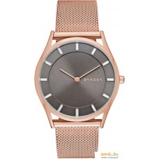 Наручные часы Skagen SKW2378