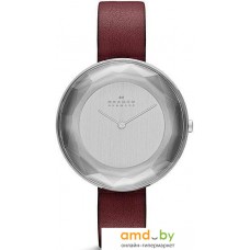 Наручные часы Skagen SKW2273