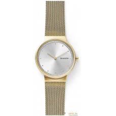 Наручные часы Skagen SKW2755