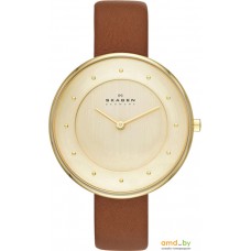 Наручные часы Skagen SKW2138