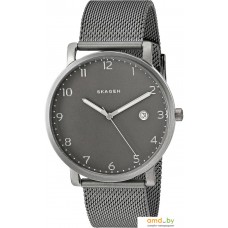 Наручные часы Skagen SKW6307