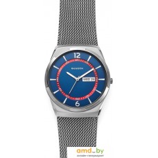 Наручные часы Skagen SKW6503