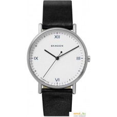 Наручные часы Skagen SKW6412