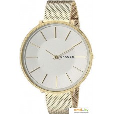 Наручные часы Skagen SKW2722