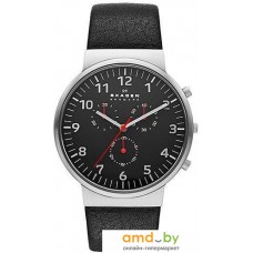 Наручные часы Skagen SKW6100