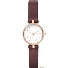 Наручные часы Skagen SKW2641