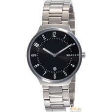 Наручные часы Skagen SKW6515