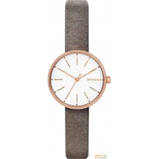 Наручные часы Skagen SKW2644