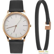 Наручные часы Skagen SKW1102