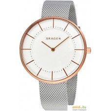 Наручные часы Skagen SKW2583