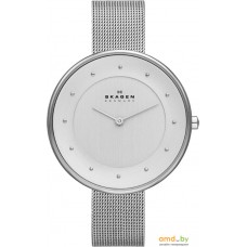 Наручные часы Skagen SKW2140