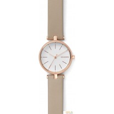 Наручные часы Skagen SKW2643