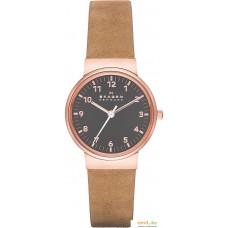 Наручные часы Skagen SKW2189