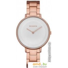 Наручные часы Skagen SKW2331