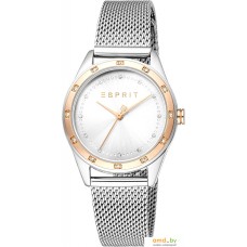 Наручные часы Esprit ES1L349M0115