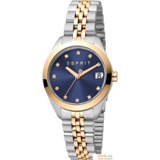 Наручные часы Esprit ES1L295M0245