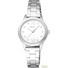 Наручные часы Esprit ES1L434M0015