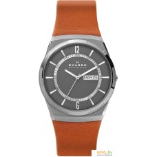 Наручные часы Skagen SKW6786