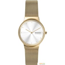 Наручные часы Skagen SKW1148