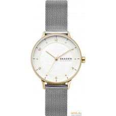 Наручные часы Skagen Riis SKW2912