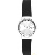 Наручные часы Skagen SKW3119