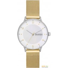 Наручные часы Skagen SKW3092