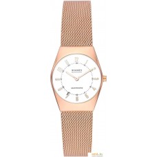 Наручные часы Skagen SKW3078