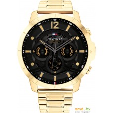 Наручные часы Tommy Hilfiger Luca 1710511