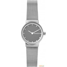 Наручные часы Skagen SKW2667