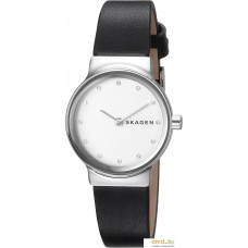 Наручные часы Skagen SKW2668