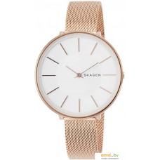 Наручные часы Skagen SKW2688