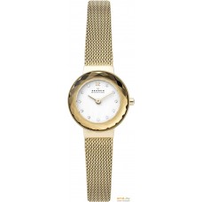 Наручные часы Skagen SKW2800