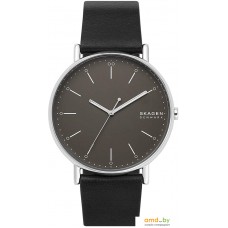 Наручные часы Skagen SKW6528