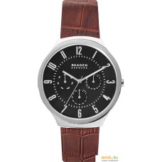 Наручные часы Skagen SKW6536