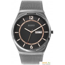 Наручные часы Skagen SKW6575