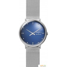 Наручные часы Skagen SKW6584